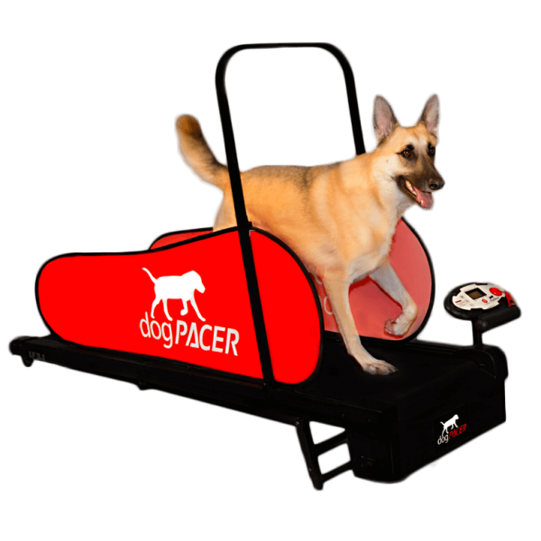 Training & Therapy Equipment Greyhound Superstore