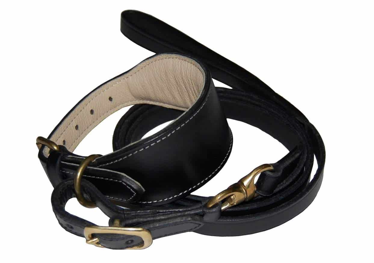 Swivel Padded Collar and Lead Set 