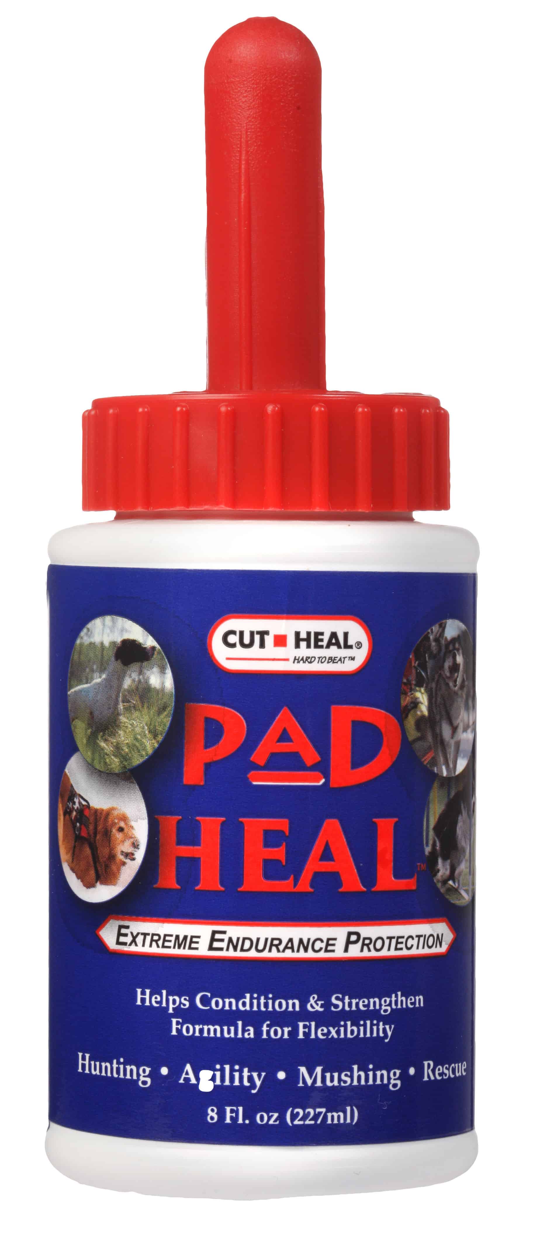 How Can I Help My Dogs Pad Heal