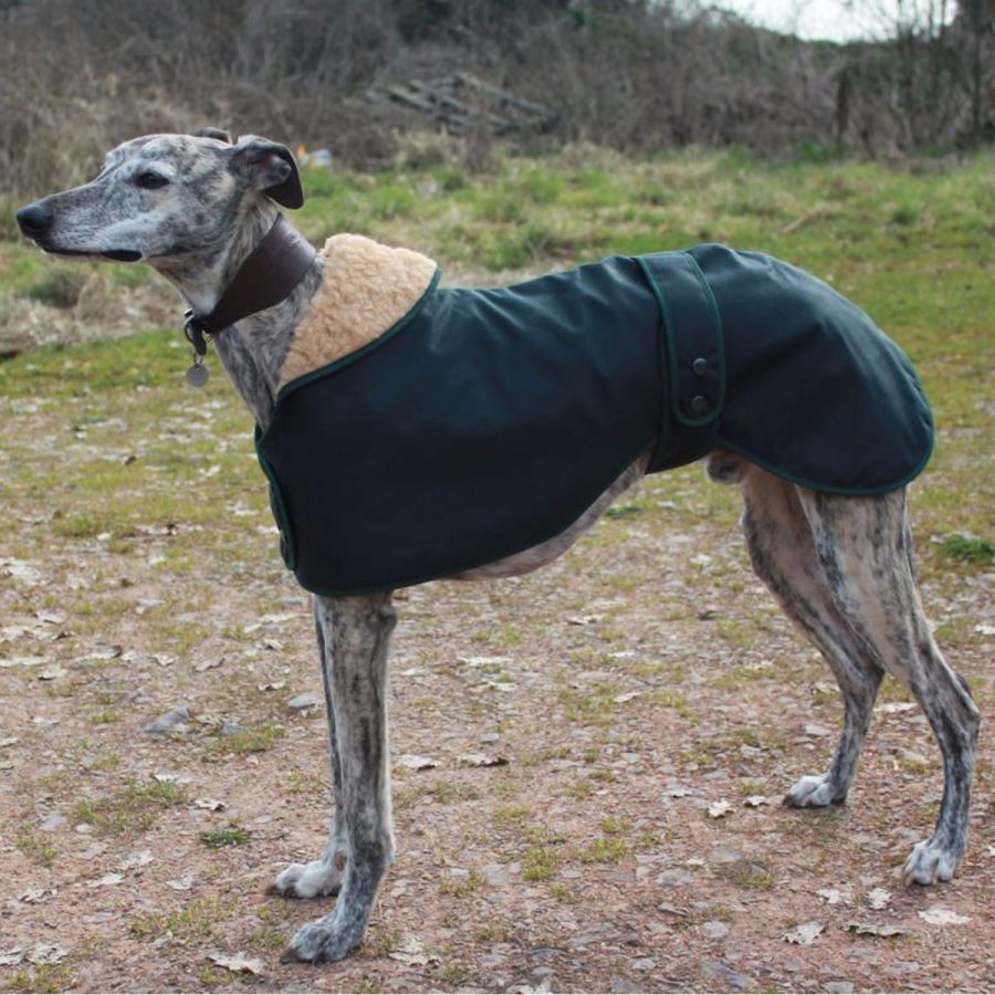 whippet wax coats