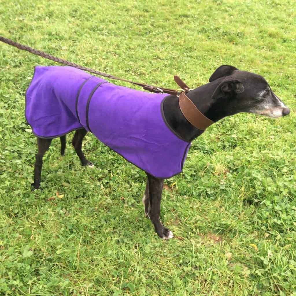 Soft Fleece Kennel House Coat Greyhound Superstore