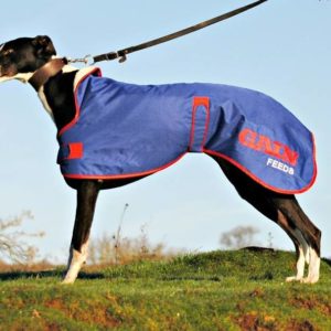 greyhound rain jacket