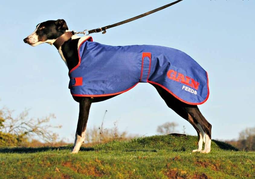 Winter Waterproof Gain Dog Coat Sz 30" Greyhound Superstore