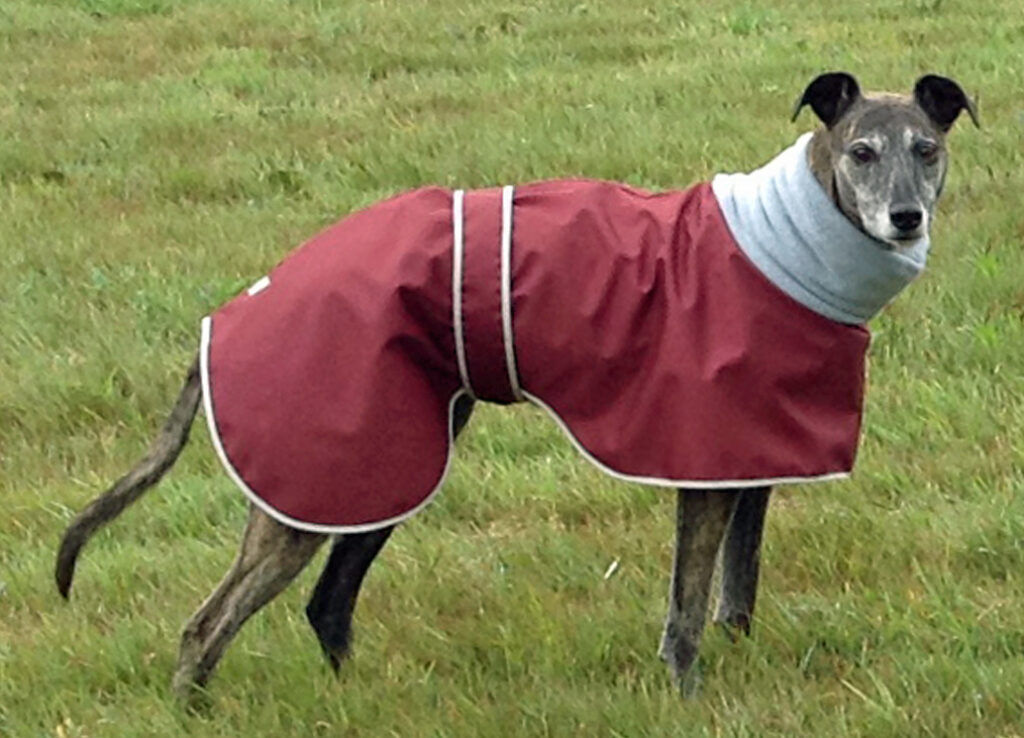 Cosipet Greyhound Polo Snood Burgundy Waterproof Coat Greyhound Superstore