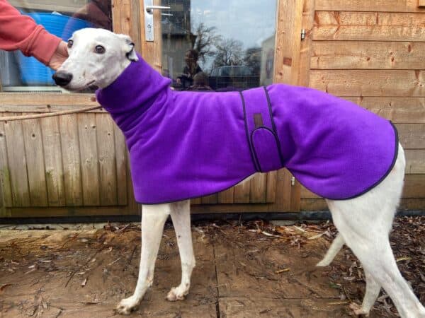 High neck fleece purple snood